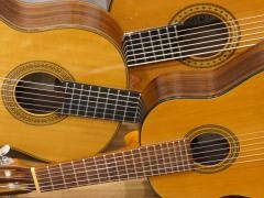 Es sind drei unterschiedlich große Gitarren zu sehen.