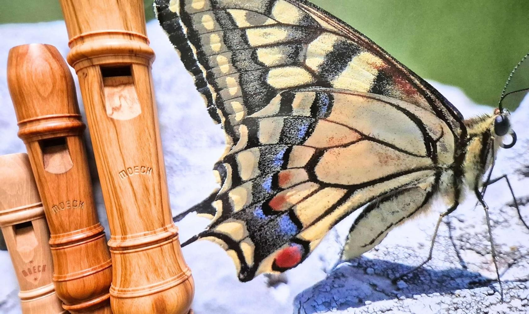 Eine Blockflöte liegt auf einem Notenheft.