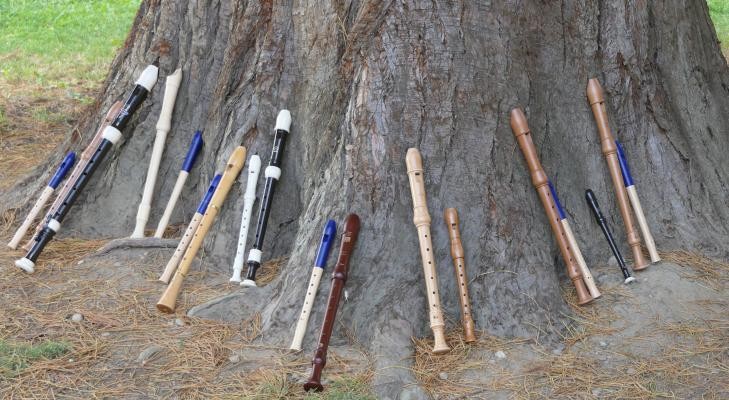 Viele Flöten stehen aufrecht an einem großen Baum.