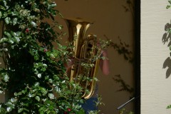 Ein Tubaspieler spielt hinter einem Strauch Blumen.