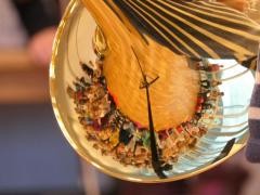 Viele Kinder aus dem Publikum spiegeln sich in einem Waldhorn.