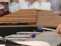 Man sieht zwei Schlägel, mit denen Marimbafon und Vibrafon gespielt wird.