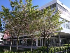 Gebäude der Musikschule von außen mit blühenden Bäumen.