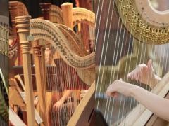 Eine Collage aus vielen Harfen.